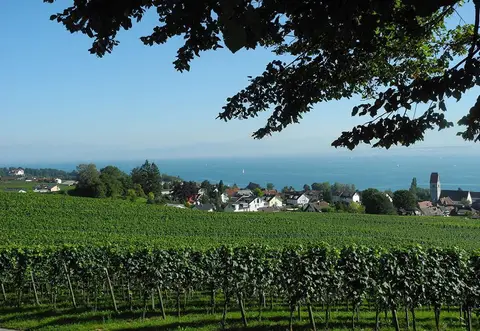 Campingplatz Schloss Kirchberg