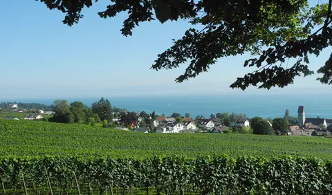 Campingplatz Schloss Kirchberg
