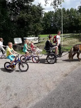 De Weidenbos