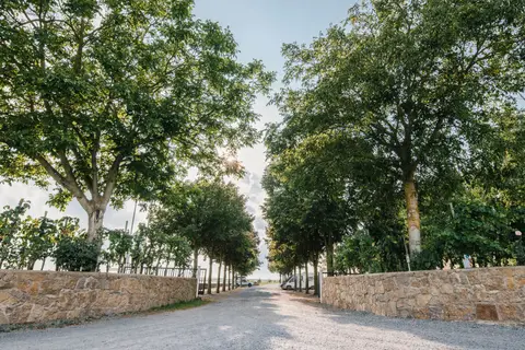 Weingut Schmitt