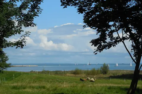 Camping an der Dänischen Wiek