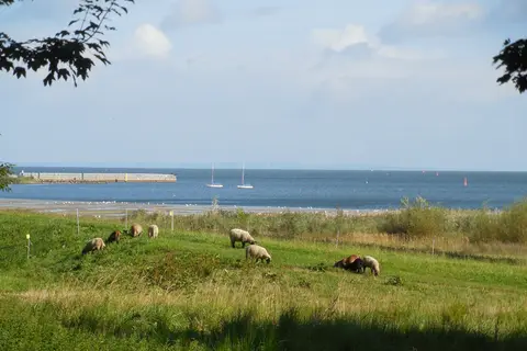 Camping an der Dänischen Wiek