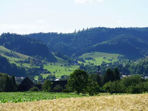Stellplatz Schwimmbad ´s Bad Kollnau-Waldkirch