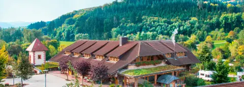 Ferienparadies Schwarzwälder Hof