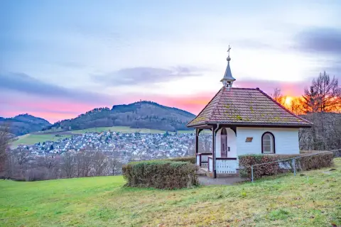 Ferienparadies Schwarzwälder Hof