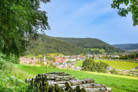 Ferienparadies Schwarzwälder Hof