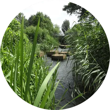 Camperplaats Hancate