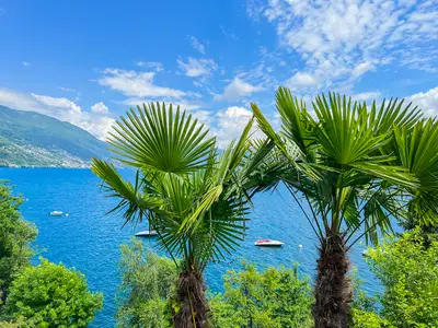Lakeview Cannobio Camping Resort
